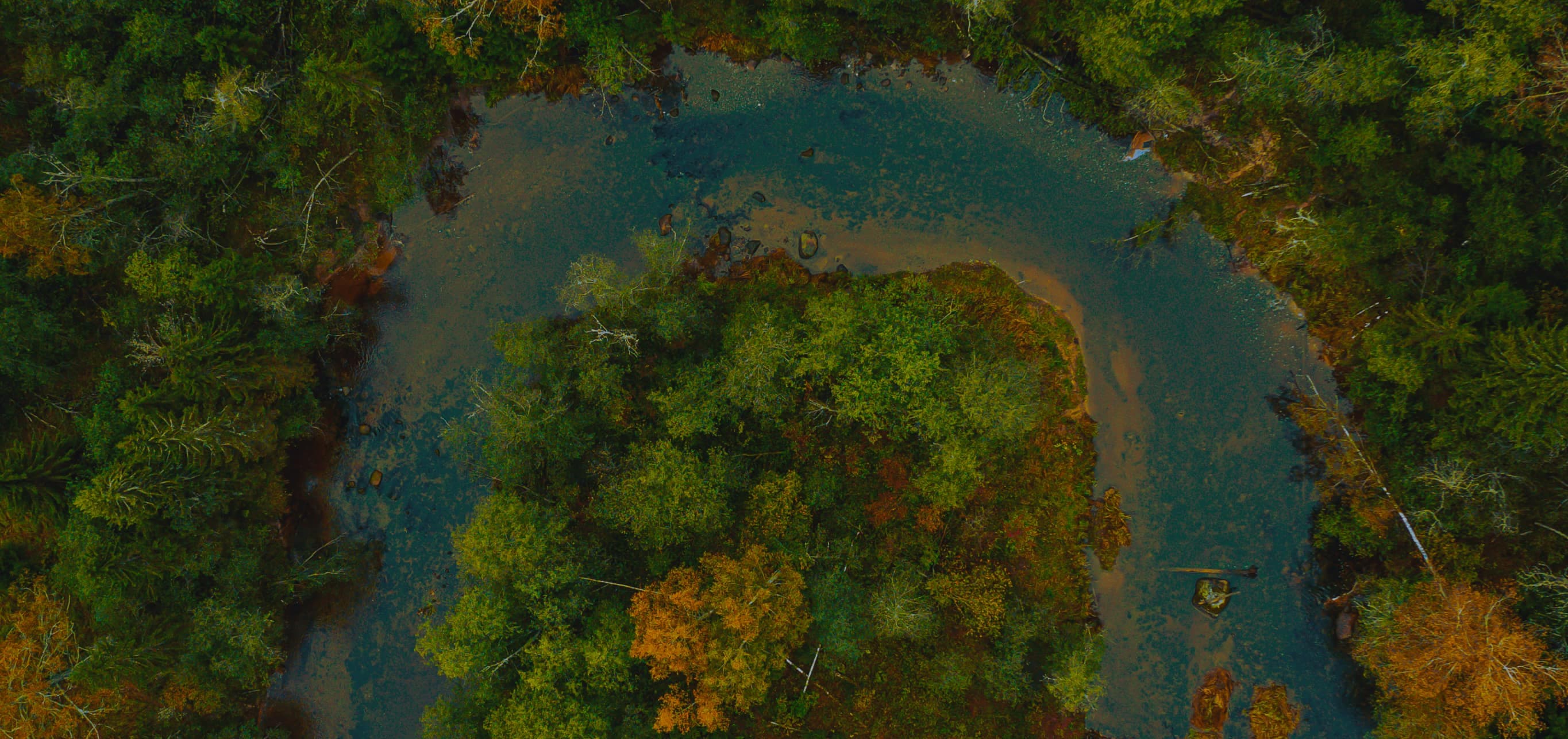 Vista aérea de un río que serpentea entre el bosque en otoño