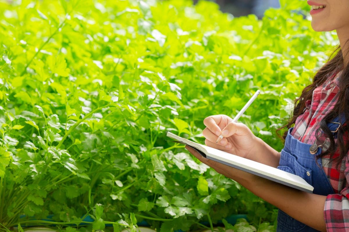 Técnica de campo tomando notas entre cultivos
